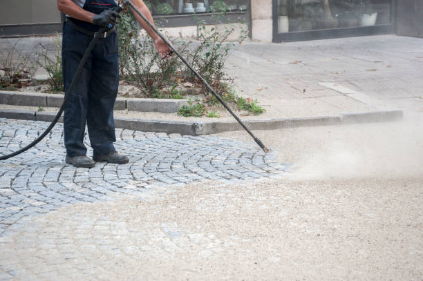 Best Roof Washing  in Rushvle, IL
